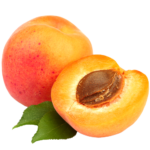 Abricot